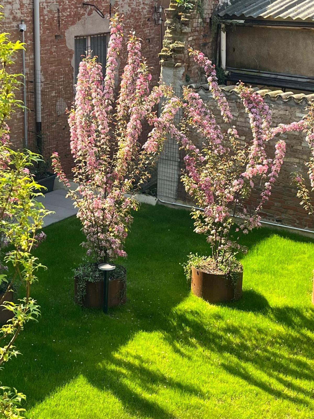 Cremona Inn Aparthotel Экстерьер фото
